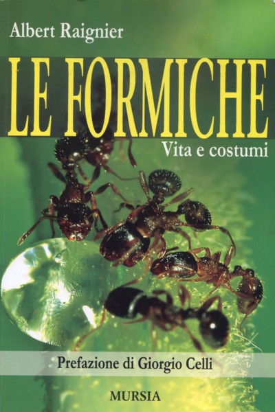 Raignier A.: Le formiche
