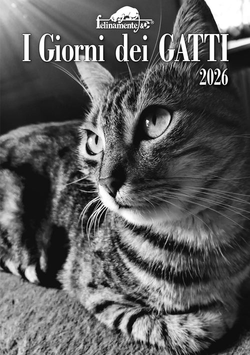 I giorni dei gatti - Agenda 2026