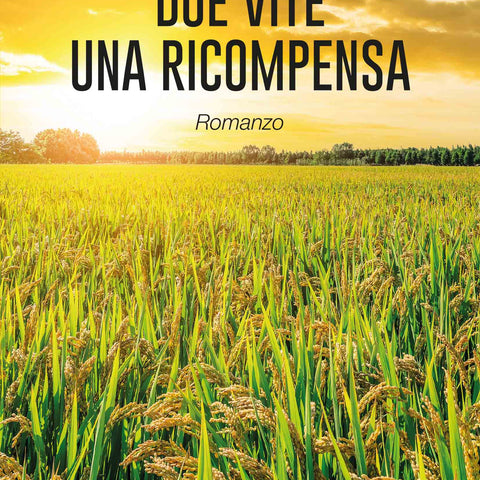 Stefano Ferri: Due vite una ricompensa