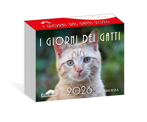I giorni dei gatti - Calendario da tavolo 2026