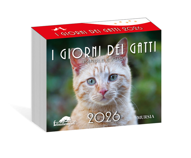 Calendario Gatti 2026 Da Muro - Mensile Con Disegni Gattini - Decorazione Ufficio Casa