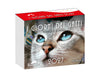 I giorni dei gatti - Calendario da tavolo 2027