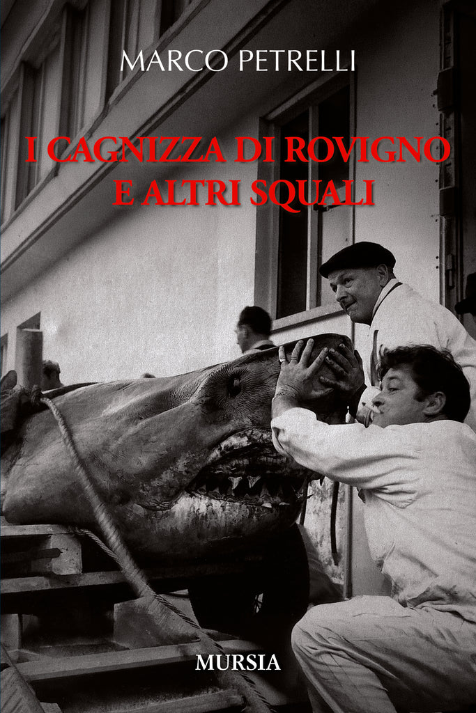 Marco Petrelli: I cagnizza di Rovigno e altri squali