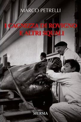 Marco Petrelli: I cagnizza di Rovigno e altri squali