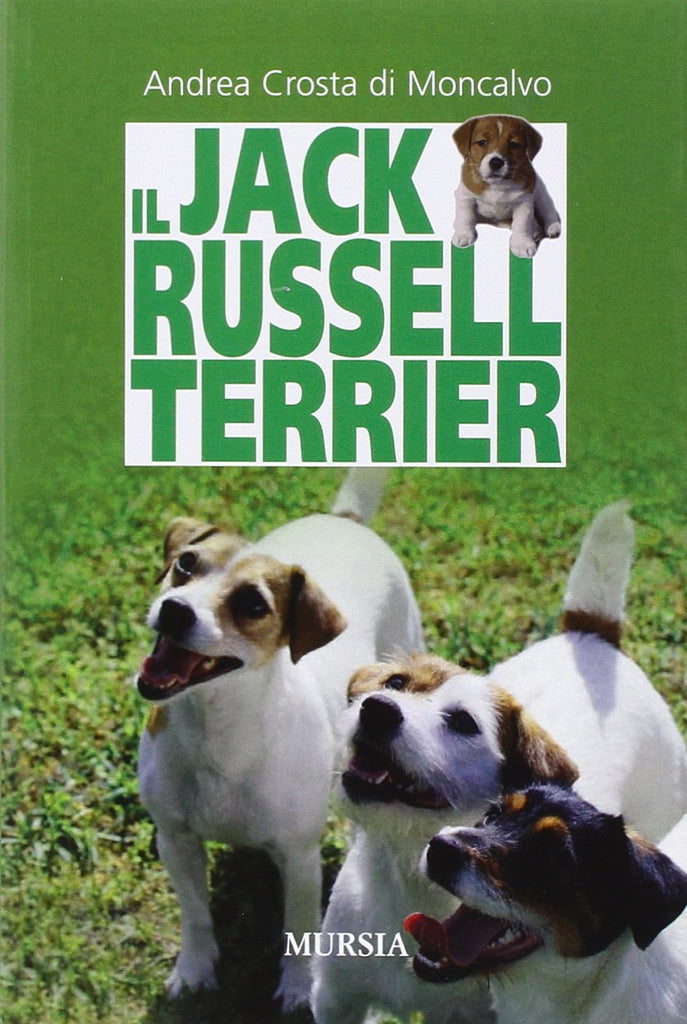 Crosta di Moncalvo: Il Jack Russell Terrier