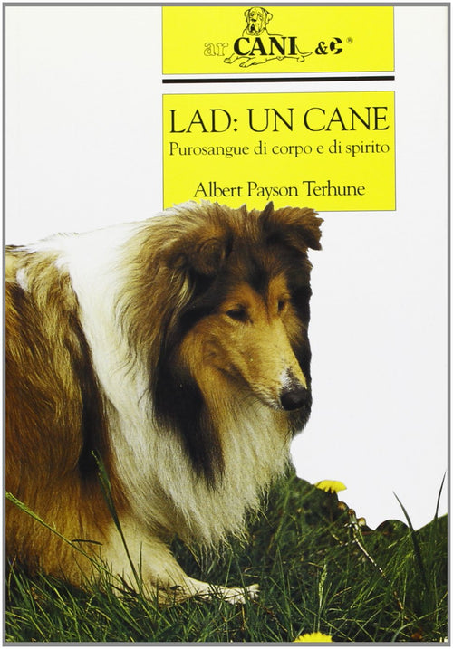 Terhune A.P.: Lad: un cane