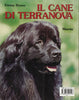 Bruno E.: Il cane di Terranova