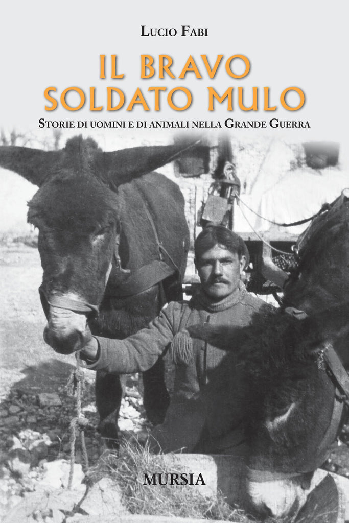 Fabi Lucio: Il bravo soldato mulo