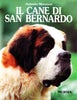 Morsiani A.: Il cane di San Bernardo