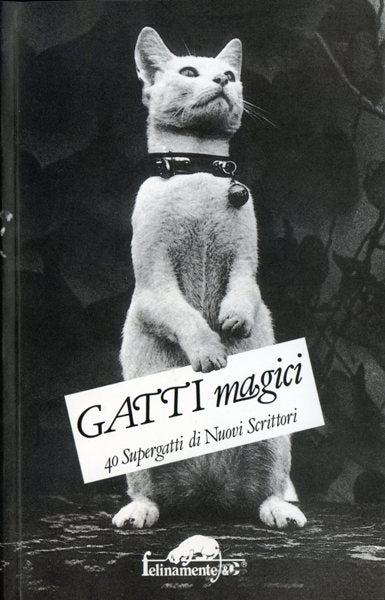 AA.VV.: Gatti magici:40 Supergatti di nuovi scrittori