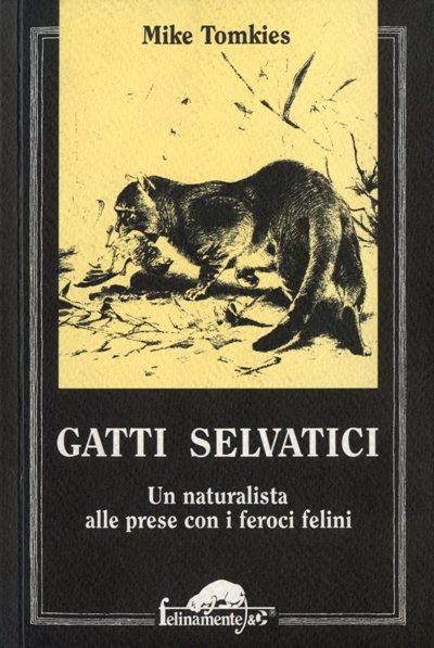 Tomkies M.: Gatti selvatici