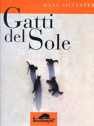 Silvester H.: I gatti del sole