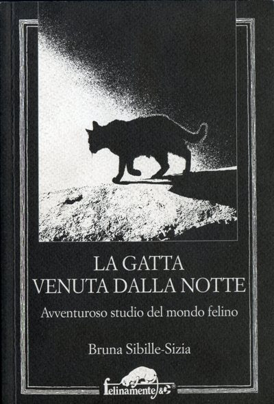 Sibille-Sizia B.: La  gatta venuta dalla notte
