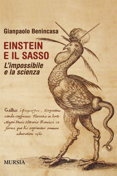 Benincasa G.: Einstein e il sasso