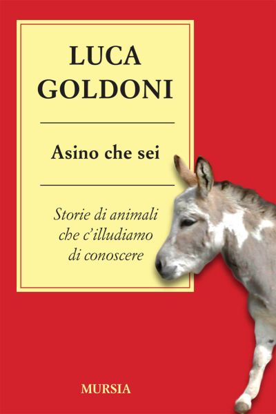 Goldoni L.: Asino che sei