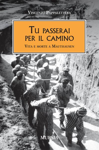 Pappalettera V.: Tu passerai per il camino