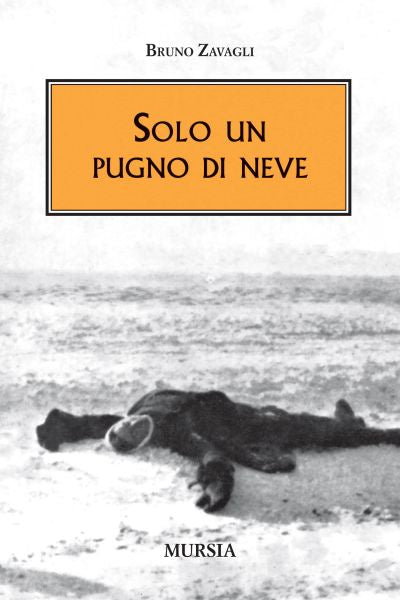 Zavagli B.: Solo un pugno di neve